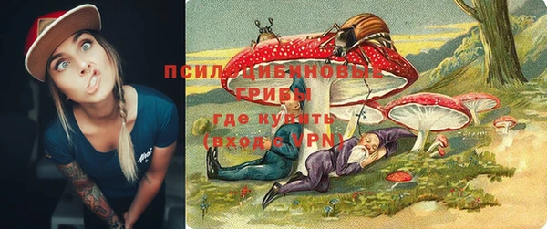 соль ск Алексеевка